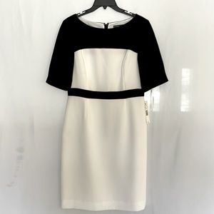 Preston & York Dress, Size 8
